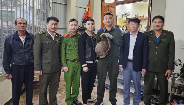 Người dân Hà Tĩnh bắt được cá thể tê tê và trăn đất quý hiếm - Ảnh 1.