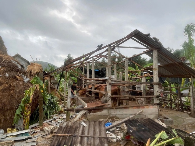 - Ảnh 3. - Ảnh 3.