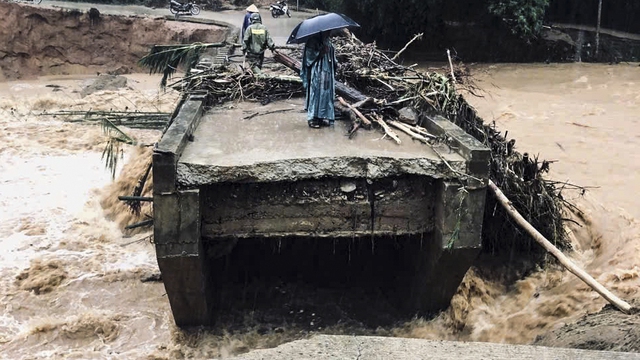 - Ảnh 2. - Ảnh 2.