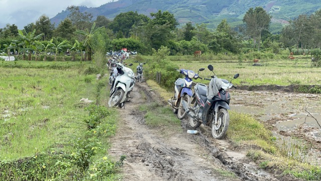 Đắk Lắk: Người dân liều mình câu cá tầm giữa dòng nước lũ - Ảnh 3.