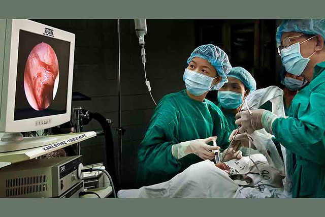 Những khoảnh khắc đẹp của người phụ nữ Việt Nam qua ảnh- Ảnh 2. Những khoảnh khắc đẹp của người phụ nữ Việt Nam qua ảnh- Ảnh 2.