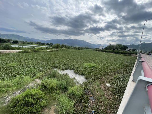 Cấp thiết giải quyết ngập lụt: V&igrave; sao phố biển Nha Trang cứ mưa l&agrave; ngập? - Ảnh 4.