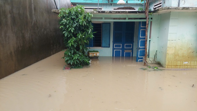 - Ảnh 4. - Ảnh 4.