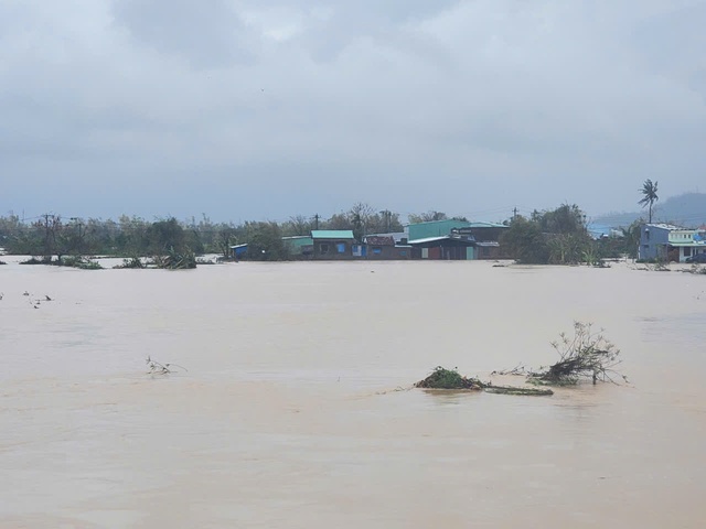 - Ảnh 3. - Ảnh 3.