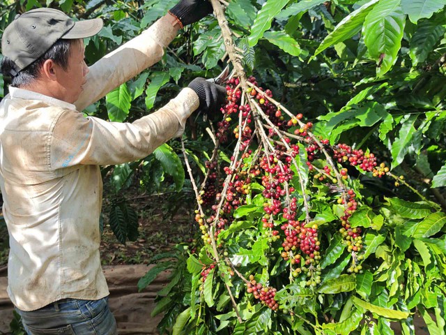 Mặt h&agrave;ng n&agrave;o sẽ hưởng lợi khi Mỹ miễn thuế đối ứng?- Ảnh 2.