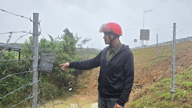 Thực hư việc người dân tháo rào để bò đi vào cao tốc Vạn Ninh - Cam Lộ- Ảnh 2.