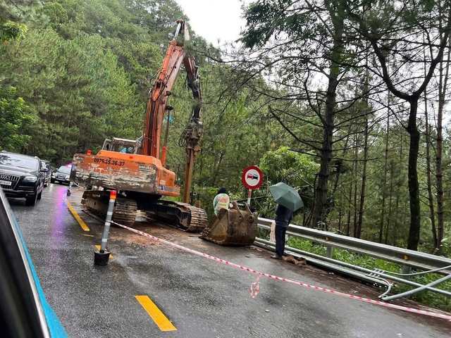 Cây cổ thụ ngã trên đèo Mimosa, ô tô may mắn thoát nạn - Ảnh 4.