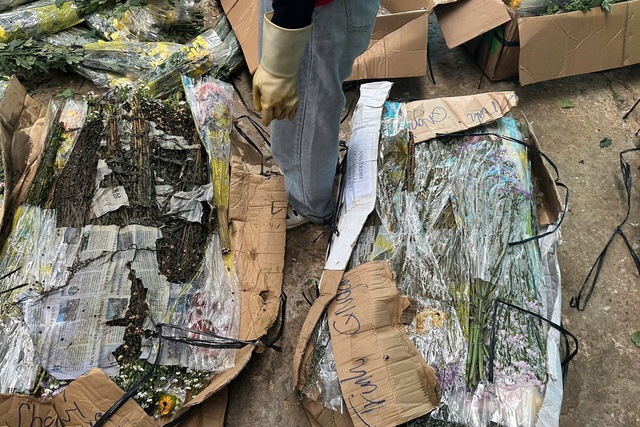 Mùa hoa 20.11 giữa mưa lũ buồn của người trồng hoa, buôn hoa Đà Lạt - Ảnh 2.