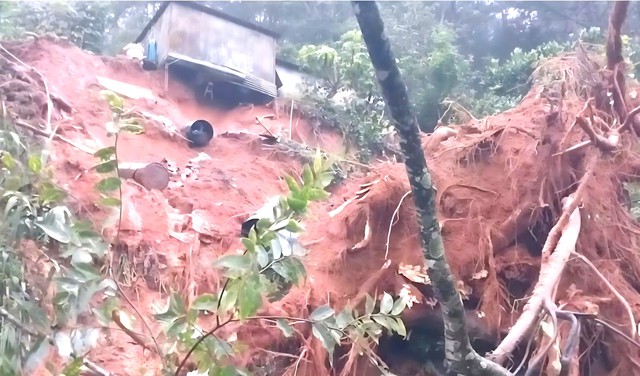 Cây cổ thụ ngã trên đèo Mimosa, ô tô may mắn thoát nạn - Ảnh 3.