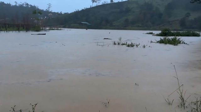 Chủ trang trại cá tầm bị lũ cuốn mất tích - Ảnh 1. Chủ trang trại cá tầm bị lũ cuốn mất tích - Ảnh 1.