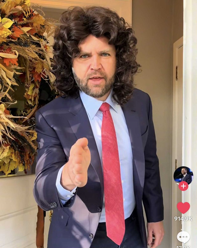 Phó tổng thống Mỹ hóa thân thành meme của chính mình, gây sốt mạng xã hội- Ảnh 1.