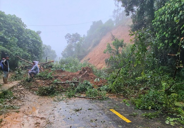 Tỉnh Lâm Đồng công bố tình huống khẩn cấp về thiên tai tại QL20 và QL28- Ảnh 2. Tỉnh Lâm Đồng công bố tình huống khẩn cấp về thiên tai tại QL20 và QL28- Ảnh 2.