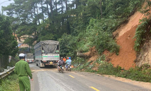 Thông cổ thụ bật gốc, QL27 ách tắc nối Đà Lạt – Phan Rang - Ảnh 2.