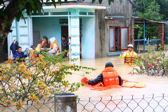 - Ảnh 1. - Ảnh 1.