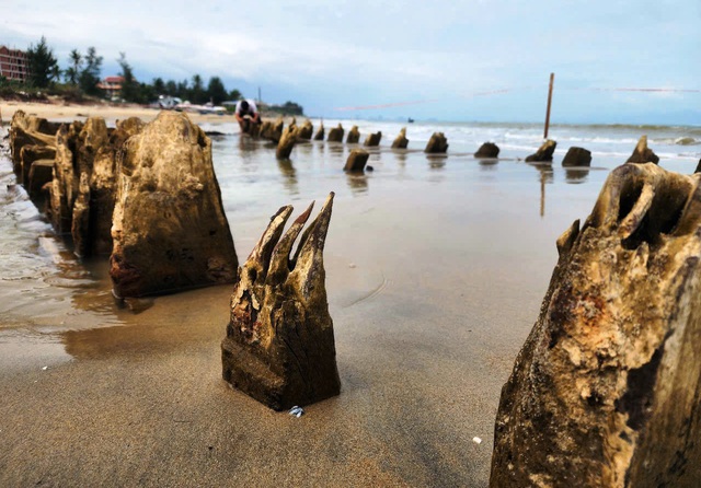 T&agrave;u cổ ph&aacute;t lộ ở bờ biển Hội An: Nguy cơ hủy hoại nếu chậm can thiệp - Ảnh 4.