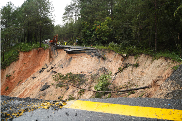 Đ&egrave;o Mimosa l&ecirc;n Đ&agrave; Lạt khi n&agrave;o khắc phục xong sạt lở?- Ảnh 1.