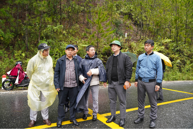 Đ&egrave;o Mimosa l&ecirc;n Đ&agrave; Lạt khi n&agrave;o khắc phục xong sạt lở?- Ảnh 2.