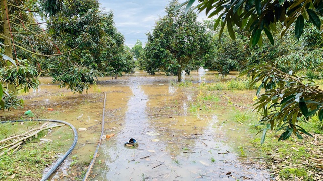 Thủy điện Đồng Nai 5 xả tràn, hàng trăm hộ dân hạ nguồn bị ngập lụt - Ảnh 3.