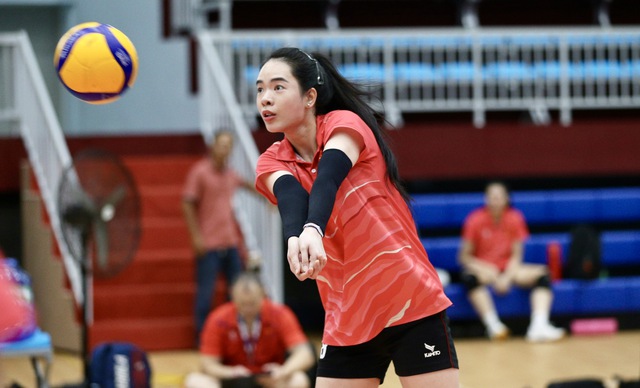 Đội tuyển bóng chuyền nữ Việt Nam tạo sức hút với người hâm mộ phía nam- Ảnh 2. Đội tuyển bóng chuyền nữ Việt Nam tạo sức hút với người hâm mộ phía nam- Ảnh 2.