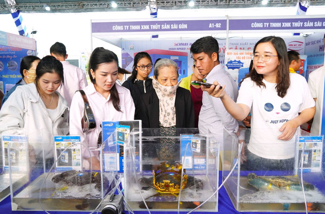 Tìm được 'vua cua' để xác lập kỷ lục cua lớn nhất Việt Nam- Ảnh 5.