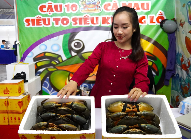 Ng&agrave;y hội cua C&agrave; Mau 2025: Dấu ấn mới cho thương hiệu địa phương

- Ảnh 4.