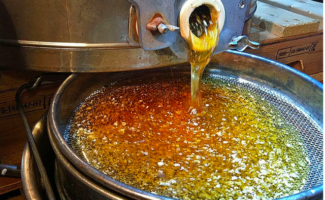 Mật ong Việt Nam bất ngờ được Mỹ giảm thuế mạnh- Ảnh 2.