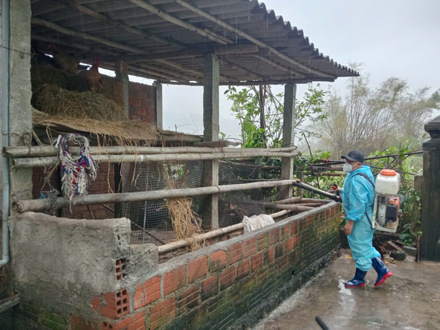 - Ảnh 2. - Ảnh 2.