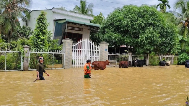 Đồng Nai y&ecirc;u cầu 17 thủy điện cung cấp th&ocirc;ng tin xả lũ kịp thời - Ảnh 2.