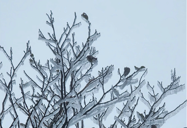 Không khí lạnh mới đang về, miền Trung tiếp tục đón đợt mưa lớn