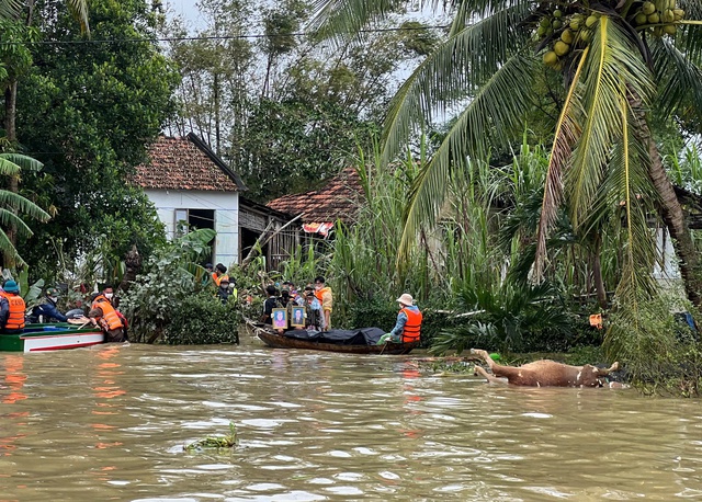 Thắt lòng chứng kiến thi thể ông bà cụ ở Hòa Xuân trong trận lũ lịch sử- Ảnh 4. Thắt lòng chứng kiến thi thể ông bà cụ ở Hòa Xuân trong trận lũ lịch sử- Ảnh 4.