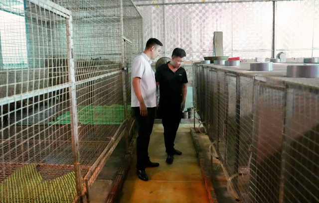 Earning billions each year from the civet farming model - Photo 4.