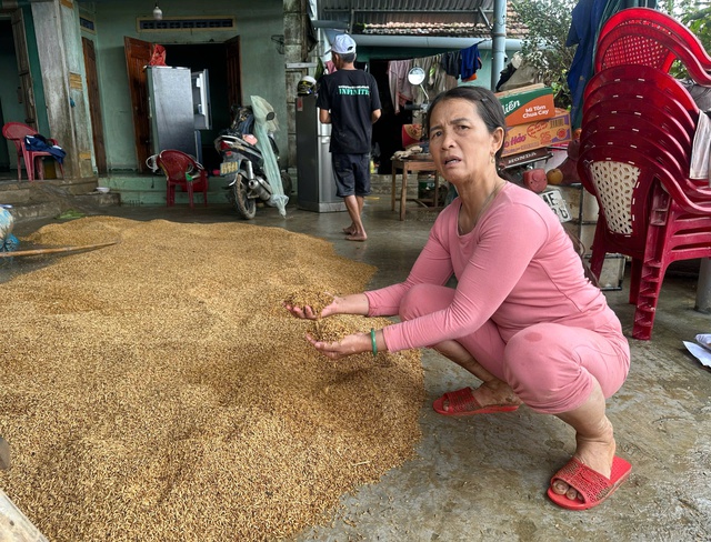 មជ្ឈមណ្ឌលទឹកជំនន់ចាស់ Phu Yen ងើបឡើងពីប្រាសាទក្រោយទឹកជំនន់ជាប្រវត្តិសាស្ត្រ - រូបថត ៦.