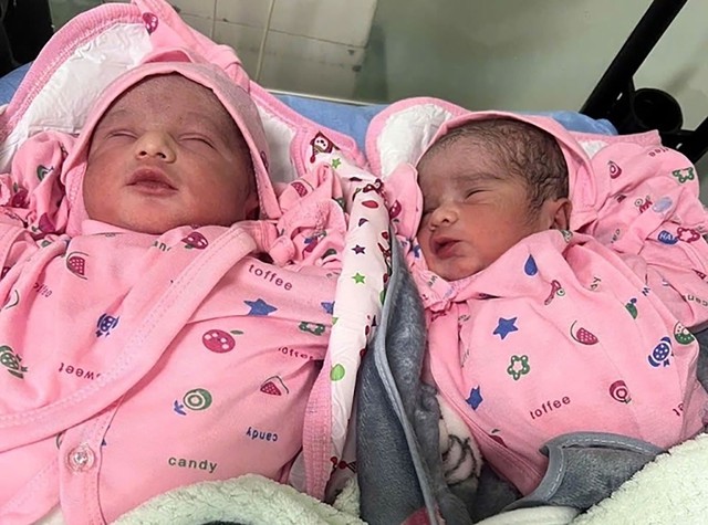 Đ&oacute;n con cho tr&ograve;n chữ &lsquo;nh&agrave;&rsquo; tại IVF Phương Ch&acirc;u S&agrave;i G&ograve;n - Ảnh 2.