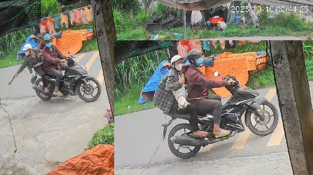 Nhức nhối trộm chó, mèo ở TP.HCM: Manh động và táo tợn- Ảnh 1. Nhức nhối trộm chó, mèo ở TP.HCM: Manh động và táo tợn- Ảnh 1.