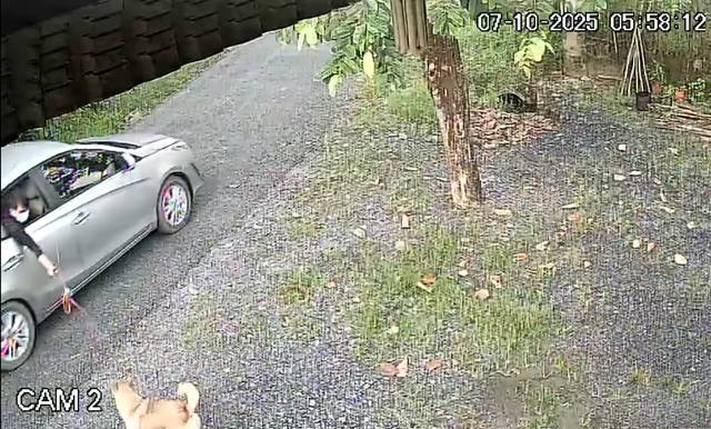 Nhức nhối trộm chó, mèo ở TP.HCM: Manh động và táo tợn- Ảnh 3. Nhức nhối trộm chó, mèo ở TP.HCM: Manh động và táo tợn- Ảnh 3.