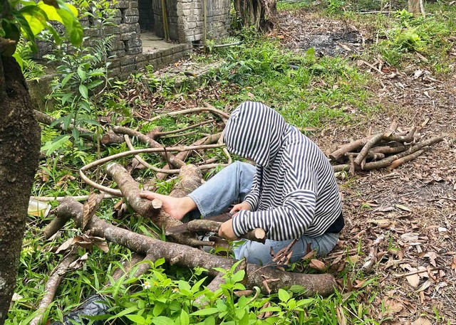 Khám phá tranh từ sỏi: Nghệ thuật gắn kết tự nhiên của họa sĩ Mỹ Hạnh - Ảnh 4. Khám phá tranh từ sỏi: Nghệ thuật gắn kết tự nhiên của họa sĩ Mỹ Hạnh - Ảnh 4.
