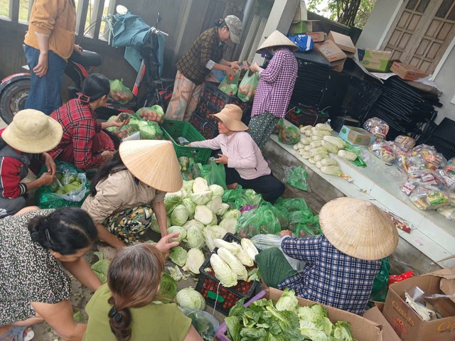 Nhiều bạn trẻ nước ngoài chung tay với người Đà Lạt ủng hộ đồng bào vùng lũ- Ảnh 9.