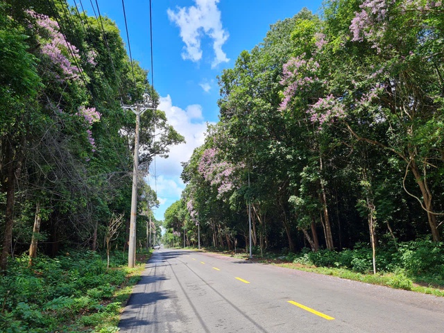 Thường trực HĐND TP.HCM l&agrave;m việc tại x&atilde; Hồ Tr&agrave;m, Xuy&ecirc;n Mộc v&agrave; phường Vũng T&agrave;u - Ảnh 3.