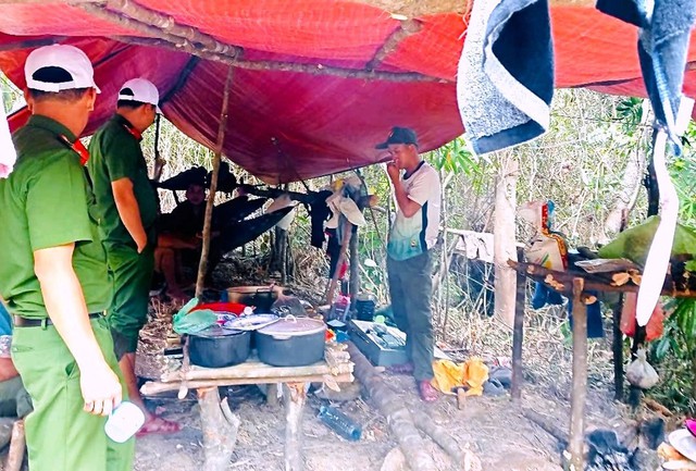 Đ&agrave; Nẵng tăng cường quản l&yacute; t&agrave;i nguy&ecirc;n, bảo vệ m&ocirc;i trường- Ảnh 1.