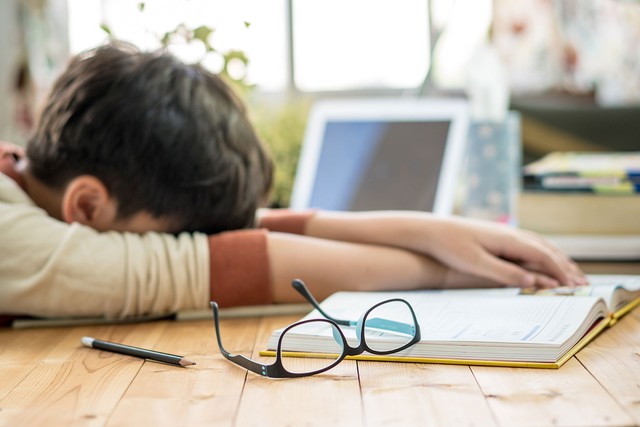 Vi&ecirc;m m&agrave;ng n&atilde;o do n&atilde;o m&ocirc; cầu c&oacute; thể tử vong trong 24 giờ- Ảnh 3.