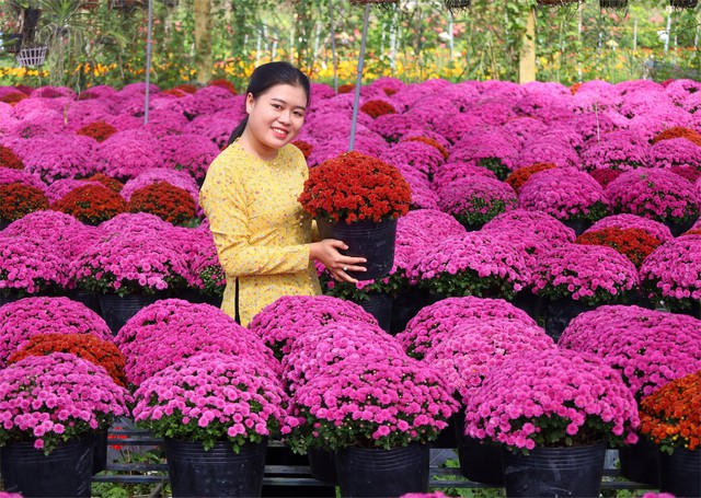 Về Đồng Tháp, nhớ làng hoa Sa Đéc và làng cổ Đồng Hòa Hiệp - Ảnh 1. Về Đồng Tháp, nhớ làng hoa Sa Đéc và làng cổ Đồng Hòa Hiệp - Ảnh 1.