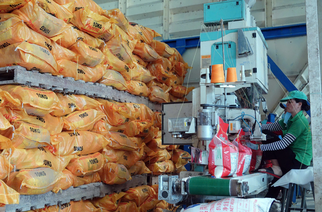 Bất ngờ 'gi&aacute; gạo tăng mỗi ng&agrave;y' d&ugrave; Philippines chưa mở cửa, v&igrave; sao?
- Ảnh 1.