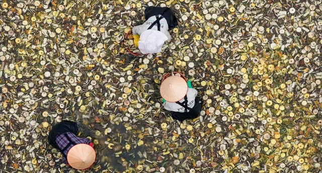 FUWA Biotech - Dấu ấn công nghệ sinh học trong ngành tẩy rửa xanh- Ảnh 1. FUWA Biotech - Dấu ấn công nghệ sinh học trong ngành tẩy rửa xanh- Ảnh 1.