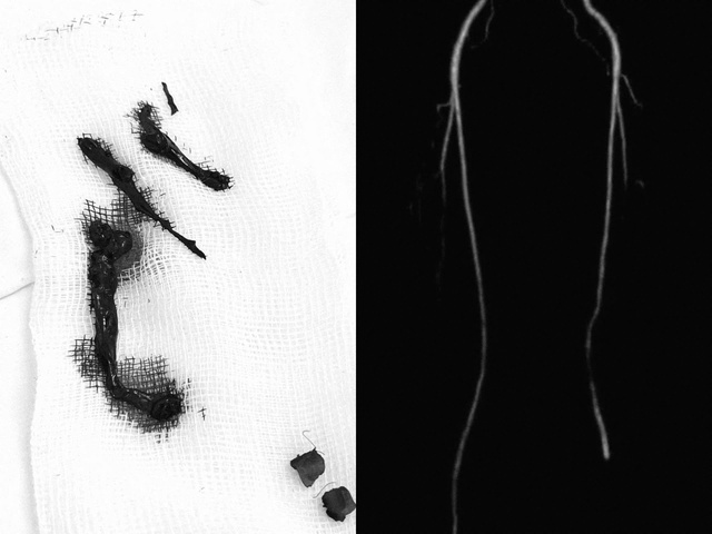 - Ảnh 1. - Ảnh 1.