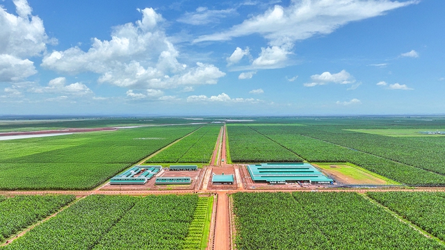 Thời cơ mới cho trái cây Việt- Ảnh 1. Thời cơ mới cho trái cây Việt- Ảnh 1.