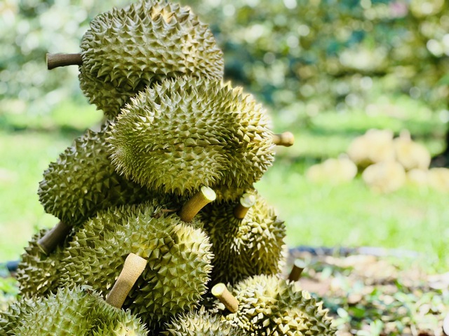 सब्जियों ने मात्र 11 महीने बाद ही नया रिकॉर्ड बना दिया - फोटो 1.