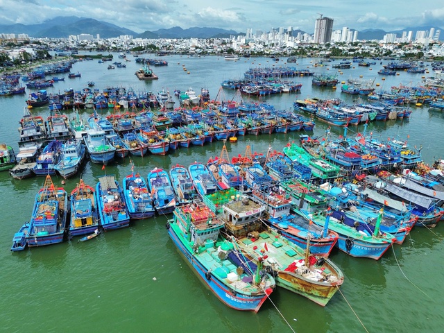 Ứng ph&oacute; b&atilde;o số 15: Kh&aacute;nh H&ograve;a ra lệnh khẩn, cấm biển từ 7 giờ ng&agrave;y 28.11- Ảnh 1.