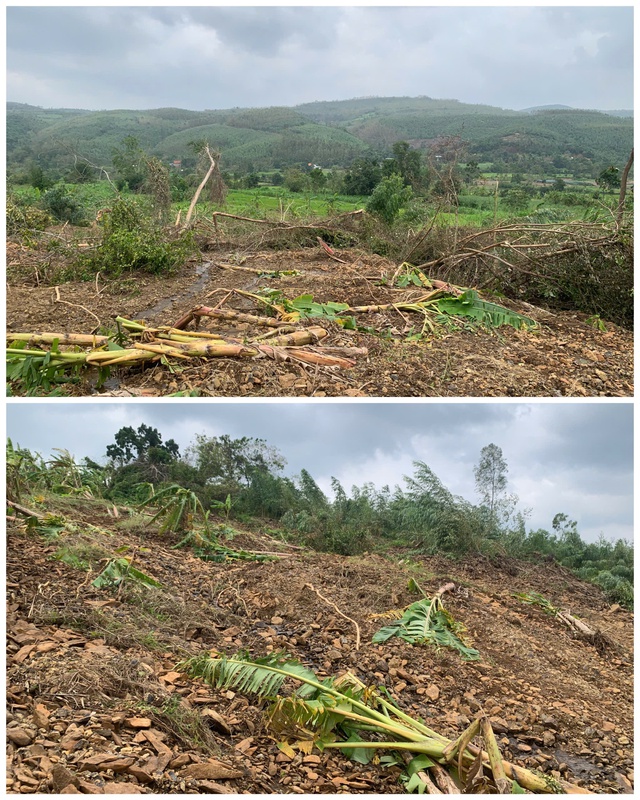 Đắk Lắk: Khẩn cấp di dời 13 hộ dân do sạt lở núi - Ảnh 2.