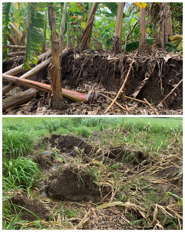 Đắk Lắk: Khẩn cấp di dời 13 hộ dân do sạt lở núi - Ảnh 3.