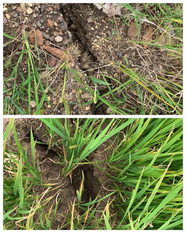 Đắk Lắk: Khẩn cấp di dời 13 hộ dân do sạt lở núi - Ảnh 4.